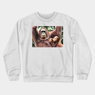 Are You Looking At Us?? Orangutans, Sepilok, Borneo Crewneck Sweatshirt